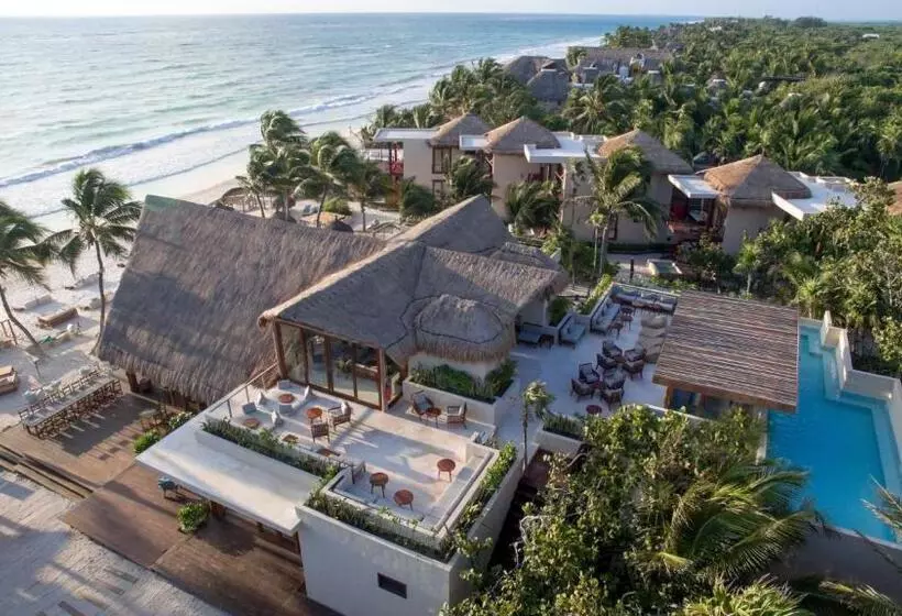 Fotos del hotel La Zebra A Colibri Boutique:  15