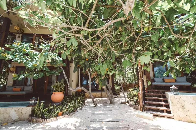 Fotos del hotel La Zebra A Colibri Boutique:  5