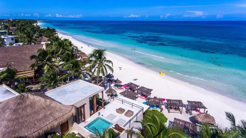 Fotos del hotel La Zebra A Colibri Boutique:  11