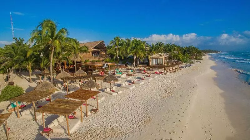 Fotos del hotel La Zebra A Colibri Boutique:  21