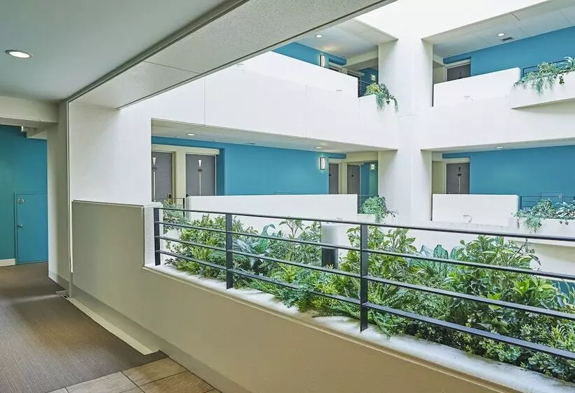 Fotos del hotel Lumiere Kasai:  15