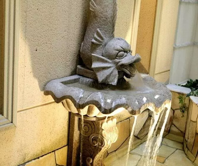 Fotos del hotel Lumiere Kasai:  17