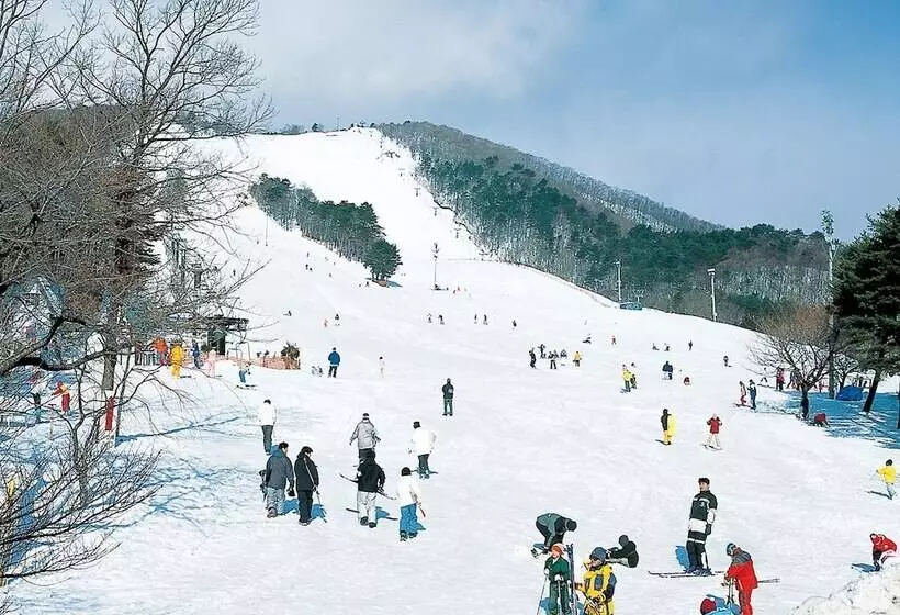 Fotos del hotel Premium Green Hills:  15