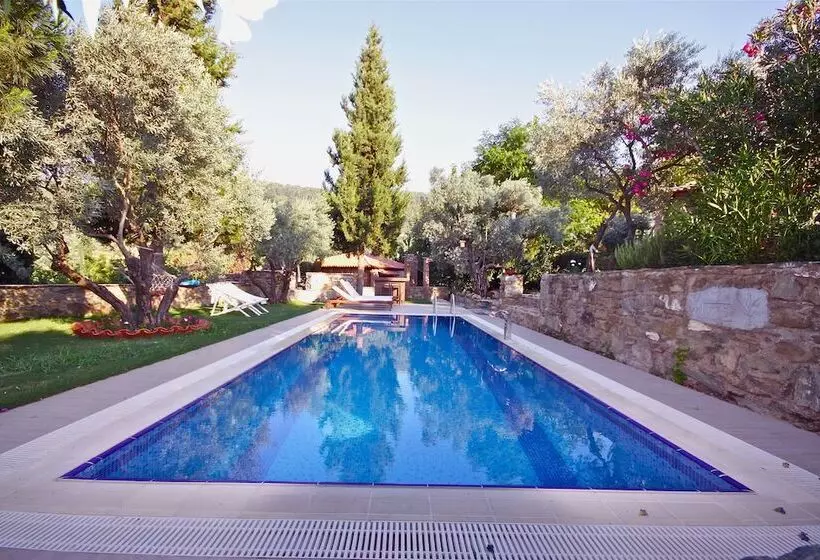 Fotos del hotel Stonehouse By Ipek:  9