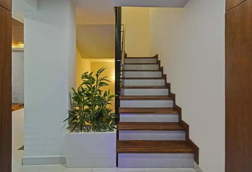 Fotos del hotel Green Tree Inn:  17