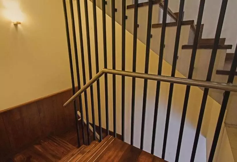 Fotos del hotel Green Tree Inn:  13