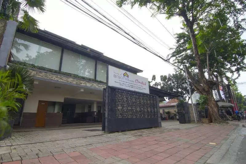 House Of Arsonia Orchid