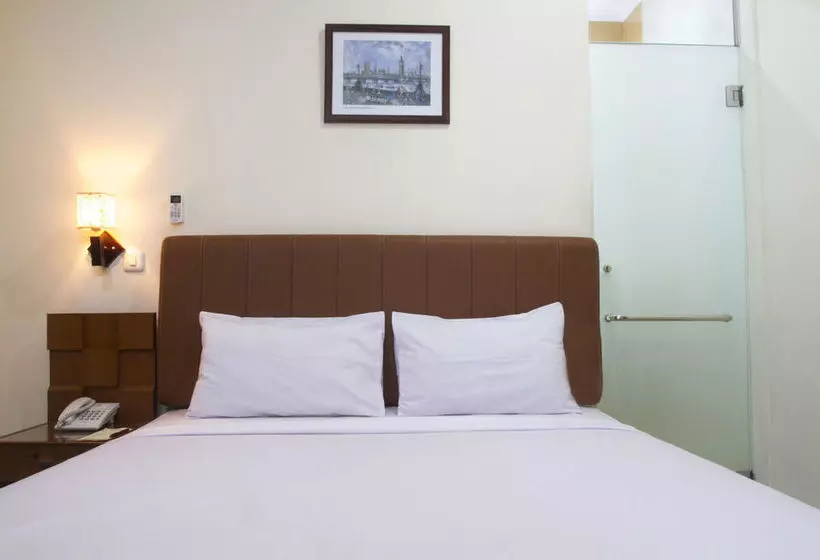 House Of Arsonia Tulip