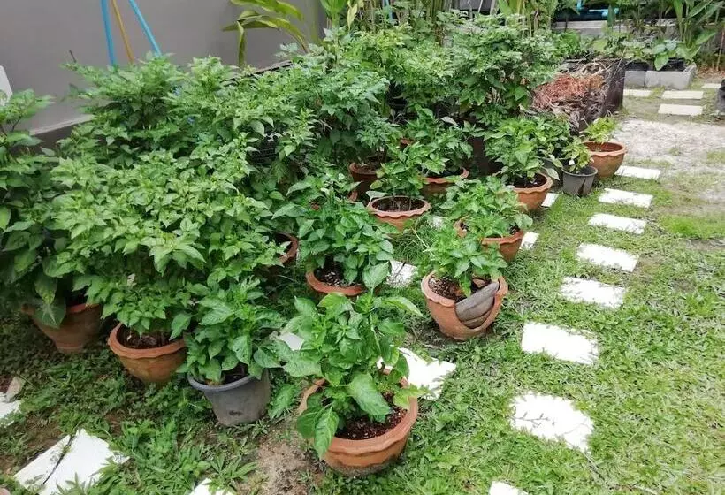 Fotos del hotel Lanta Wanida Resort:  11