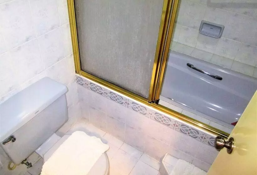 Fotos del hotel Maxandrea:  6