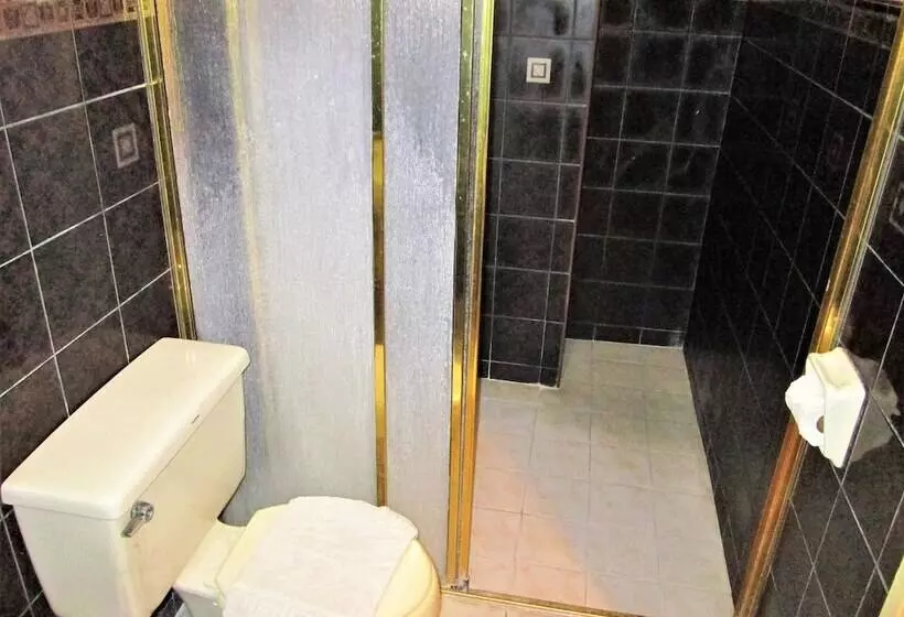 Fotos del hotel Maxandrea:  14