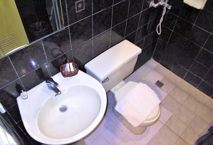 Fotos del hotel Maxandrea:  10