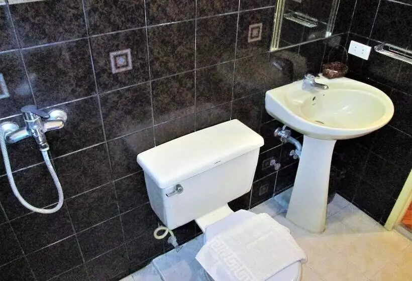 Fotos del hotel Maxandrea:  12