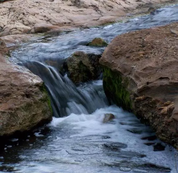 Fotos del hotel Burra Motor Inn:  15