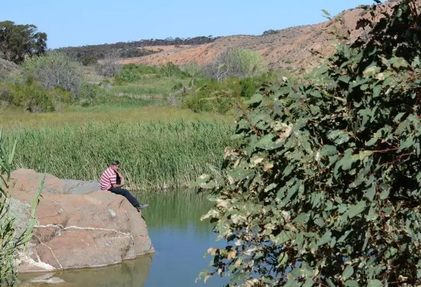 Fotos del hotel Burra Motor Inn:  23