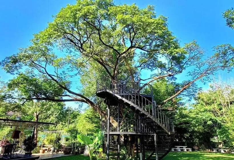 Fotos del hotel Chayada Garden House And Resort:  23