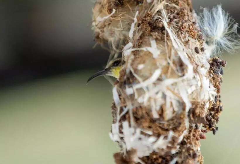 Fotos del hotel Chayada Garden House And Resort:  6