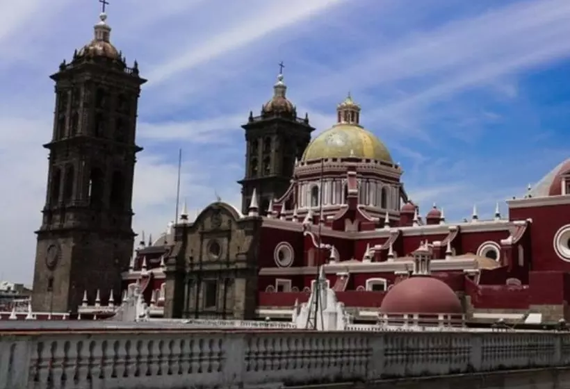 Fotos del hotel Leones:  14