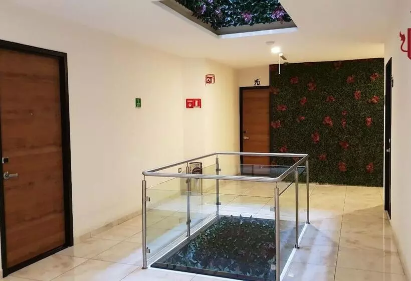 Fotos del hotel Leones:  9