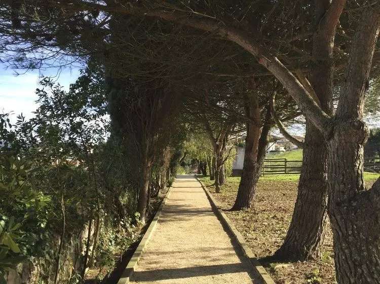 Fotos del hotel Solar Da Cerca Do Mosteiro:  16