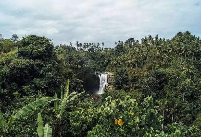 Fotos del hotel Tejaprana Resort & Spa:  13