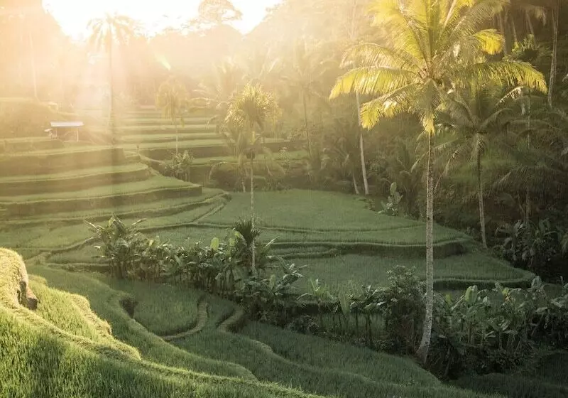 Fotos del hotel Tejaprana Resort & Spa:  15