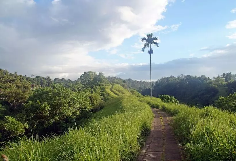 Fotos del hotel Tejaprana Resort & Spa:  12