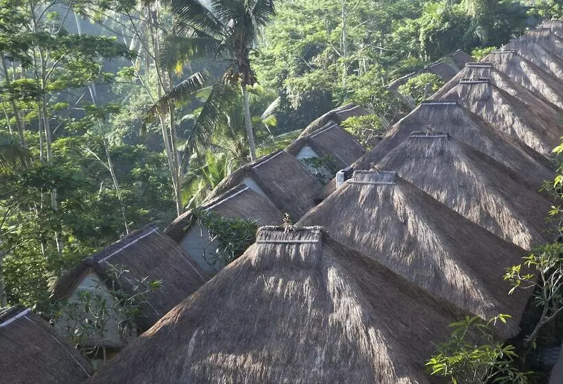 Fotos del hotel Tejaprana Resort & Spa:  20