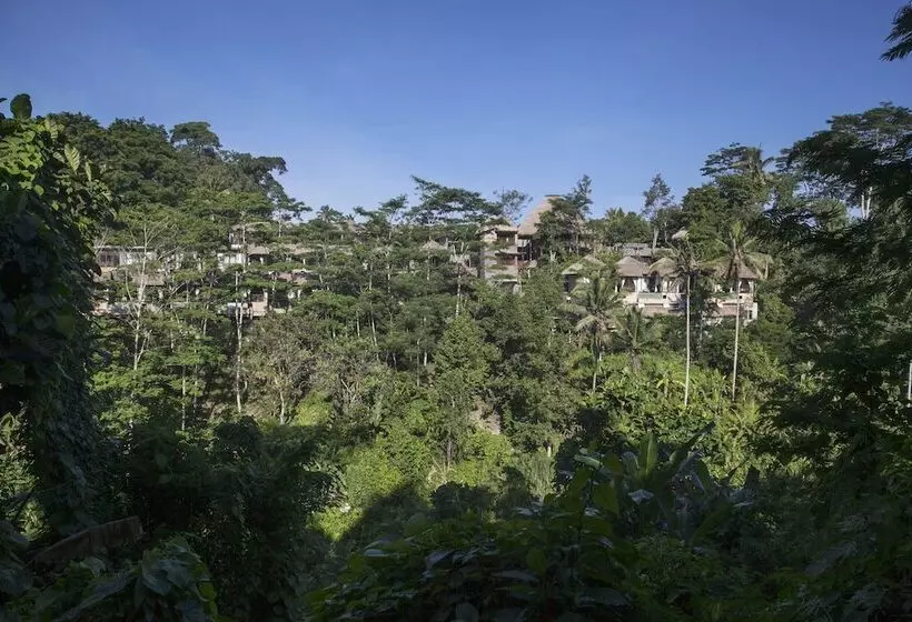 Fotos del hotel Tejaprana Resort & Spa:  11