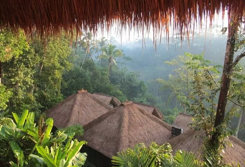 Fotos del hotel Tejaprana Resort & Spa:  17