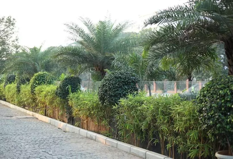 Fotos del hotel V7:  8