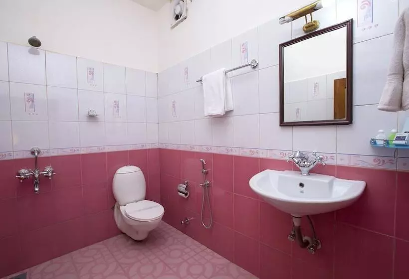 Fotos del hotel Spice Country Resort:  11