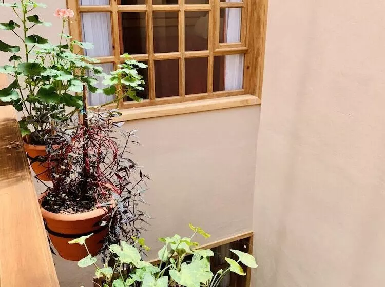 Fotos del hotel La Casa De Mamá:  18