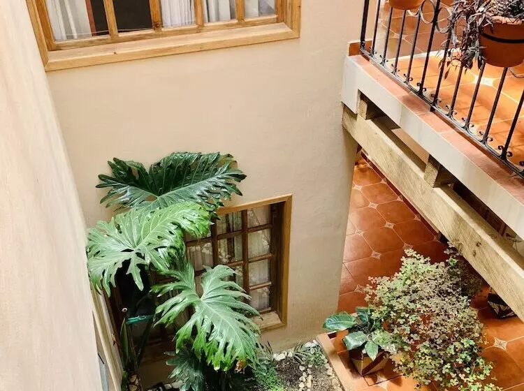 Fotos del hotel La Casa De Mamá:  25