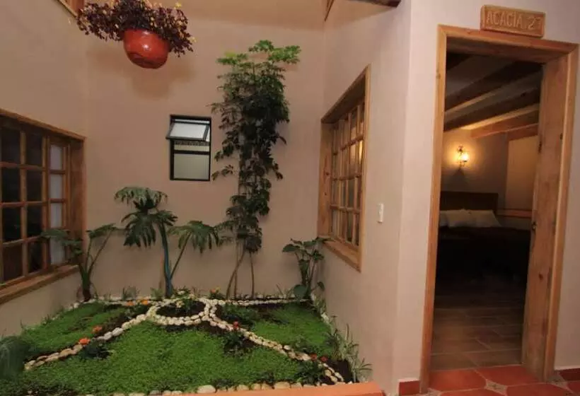 Fotos del hotel La Casa De Mamá:  3