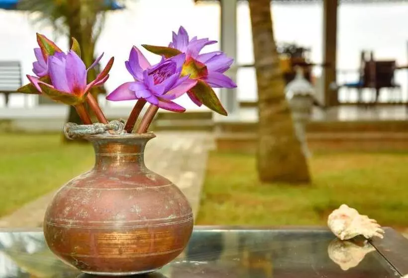 Fotos del hotel Oriental Rest:  12