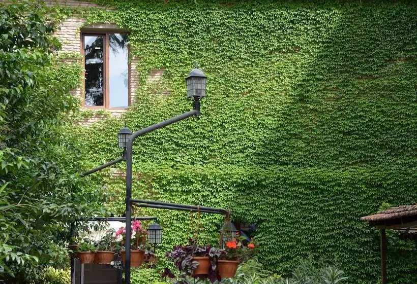 Fotos del hotel Tiflis:  15