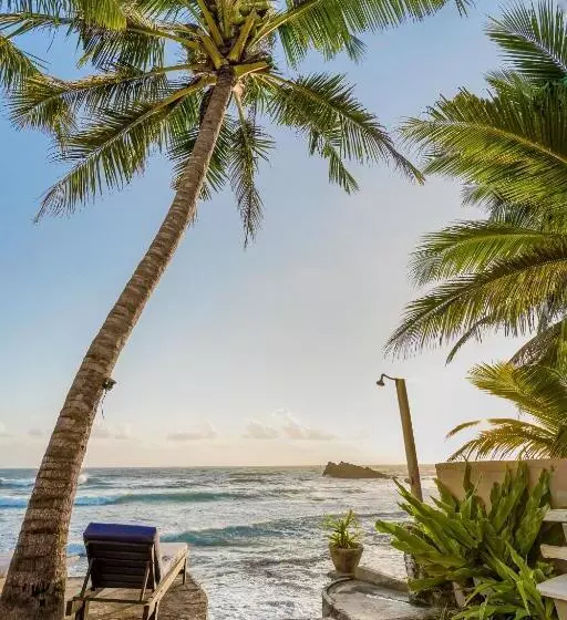 Fotos del hotel Blue Sky Beach Resort:  6