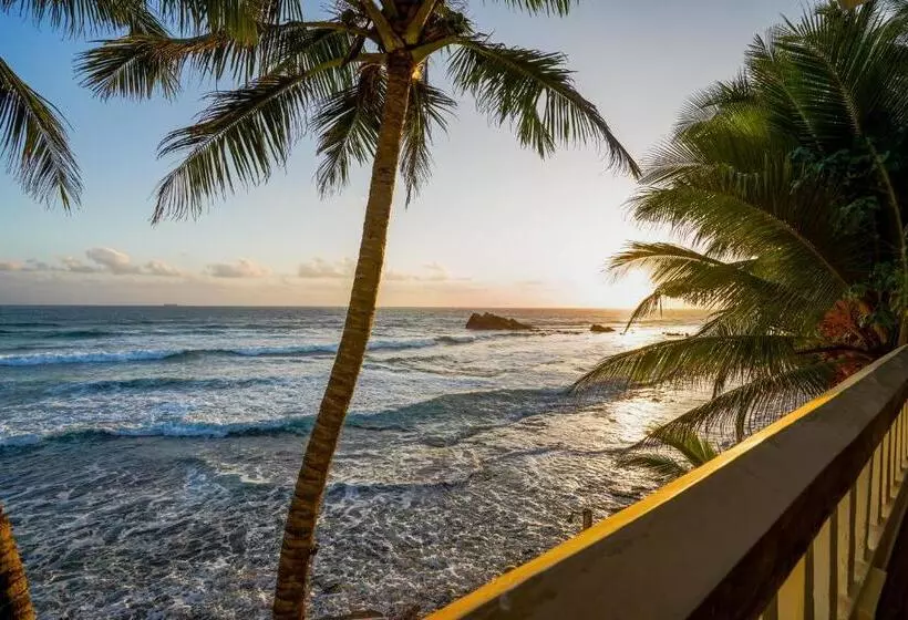 Fotos del hotel Blue Sky Beach Resort:  14