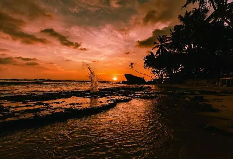 Fotos del hotel Blue Sky Beach Resort:  24