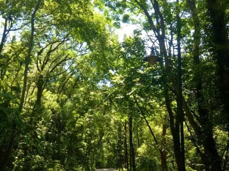 Fotos del hotel Qiao Garden Vacation:  12