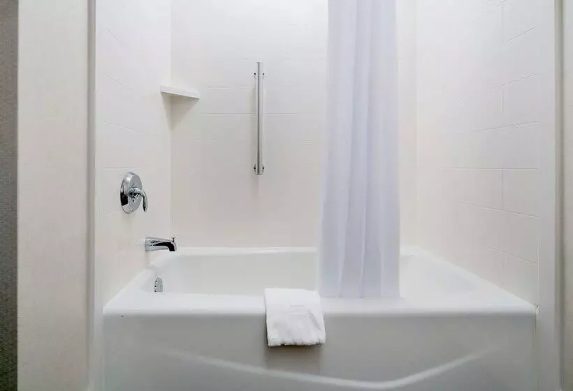 Fotos del hotel Hampton Inn & Suites Dallas Downtown:  15