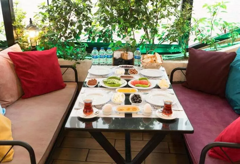Fotos del hotel Taksim Yazici Residence:  4