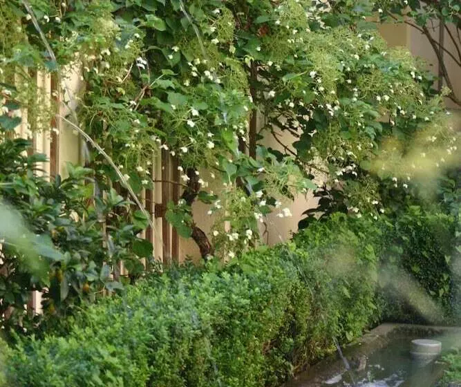 Fotos del hotel Hofgärtnerhaus:  21