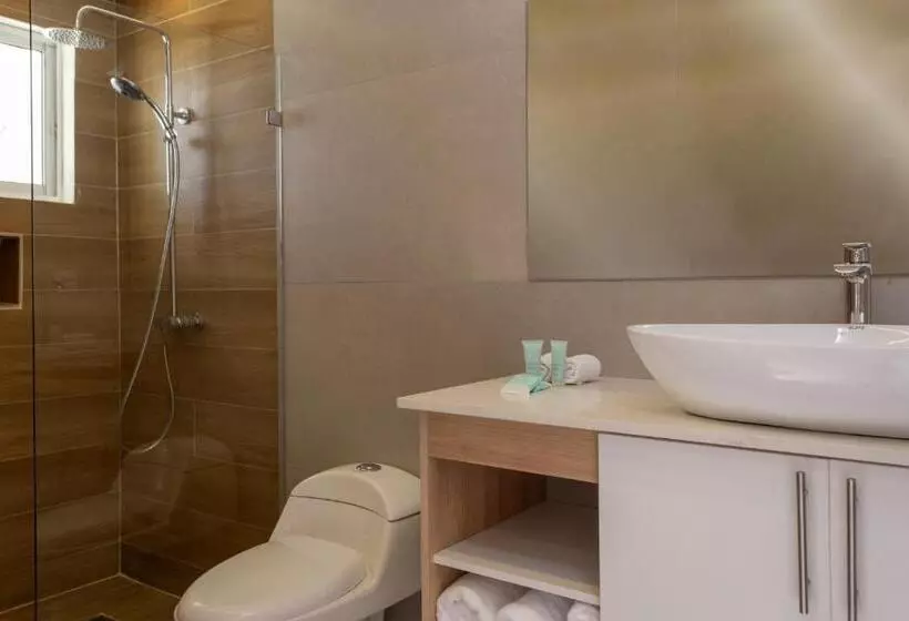 Fotos del hotel Hm Alma de Bayahibe - Adults Only :  20