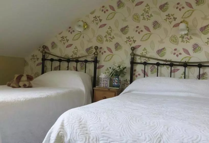 Fotos del hotel Avondale Guest House:  12