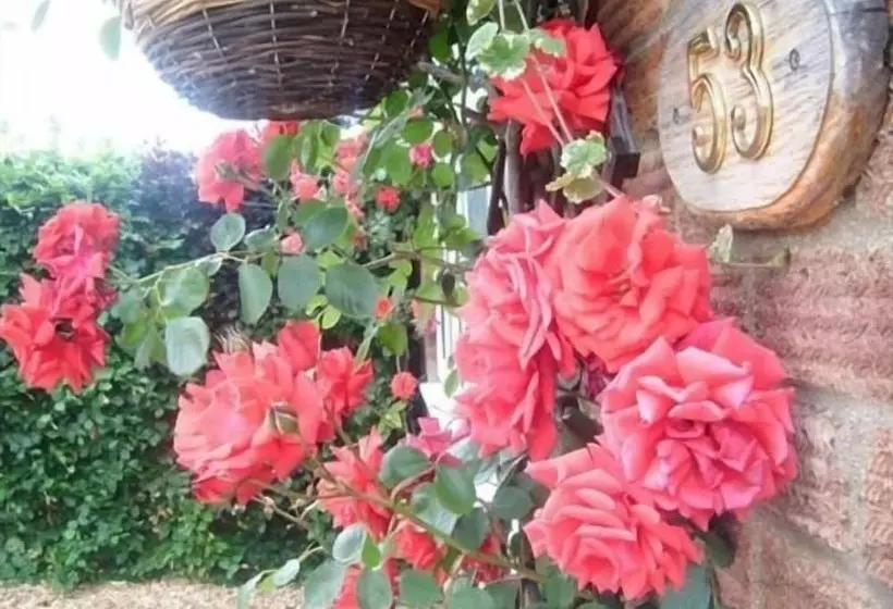 Fotos del hotel Rosa's Bed And Breakfast:  11
