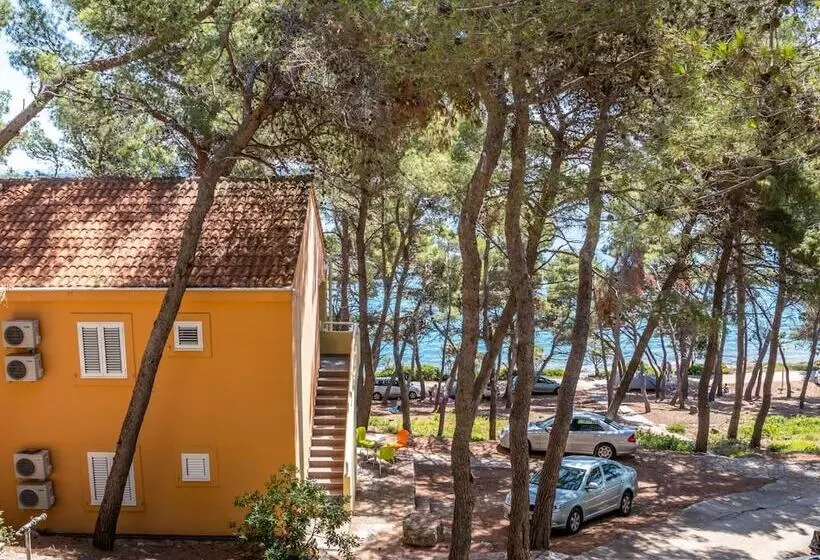 Fotos del hotel Zelena Punta:  8