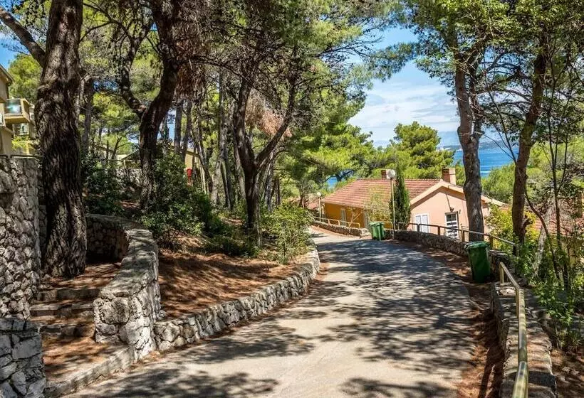 Fotos del hotel Zelena Punta:  11