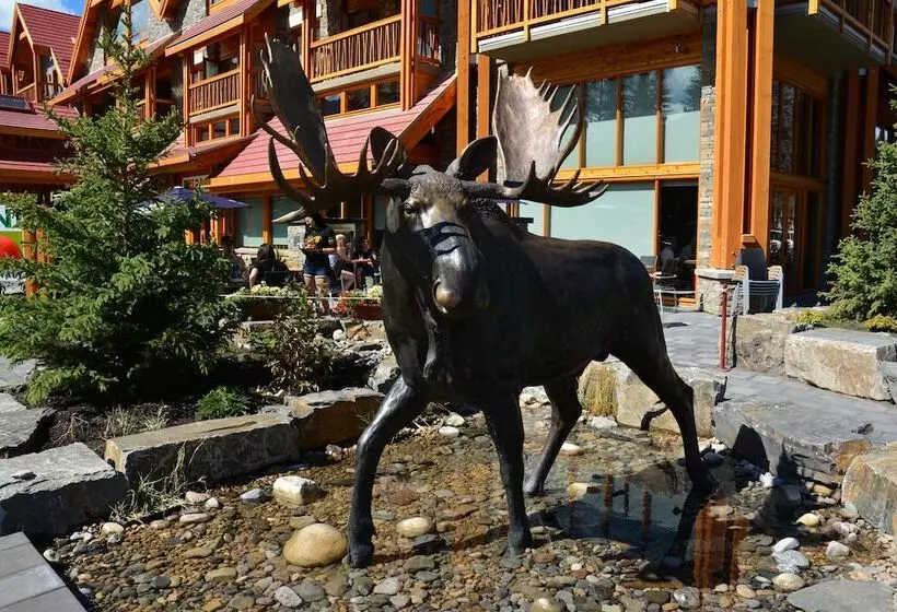 Fotos del hotel Moose Hotel And Suites:  8